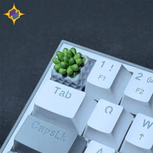 کیکپ کیبورد مکانیکال طرح گلدان کاکتوس | Cactus 1 keycap