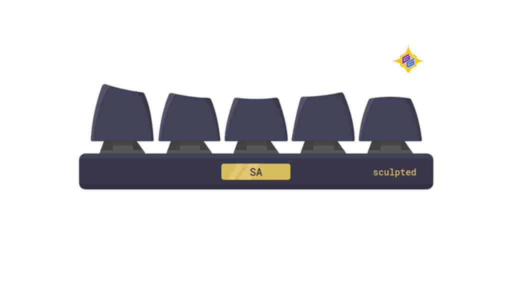 SA Profile