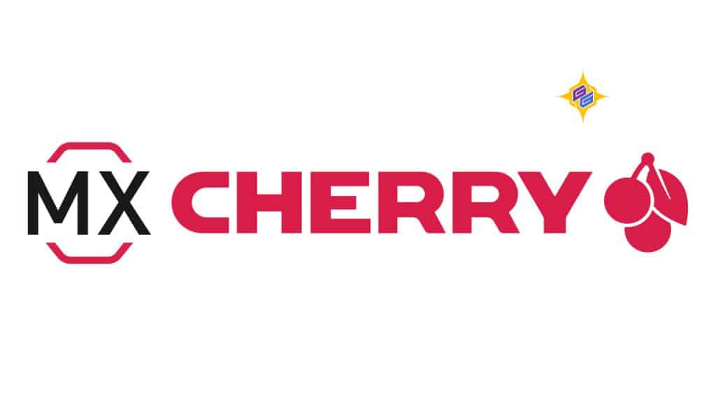 مدل‌های محبوب Cherry MX
