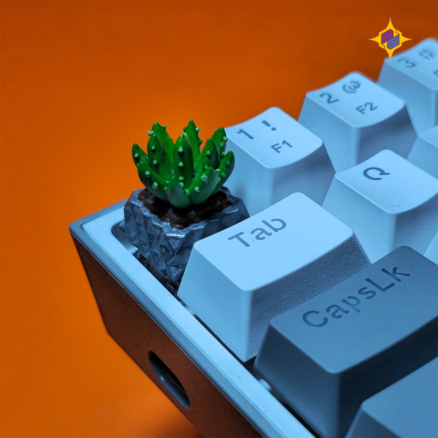 آشیانه پرنده