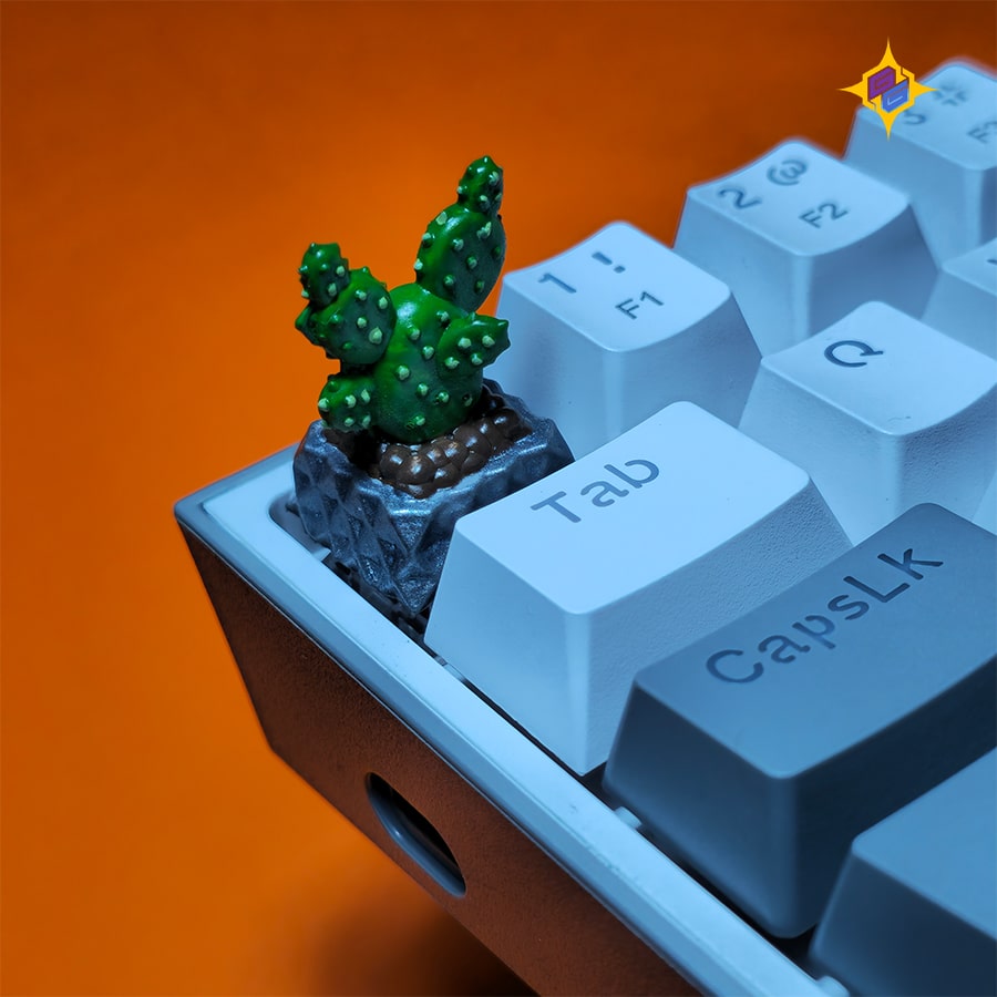 اپونتیا انگلمانی